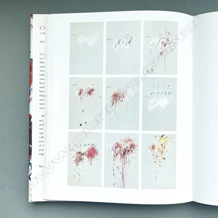 RICHARD LEEMAN: CY TWOMBLY Image 1++